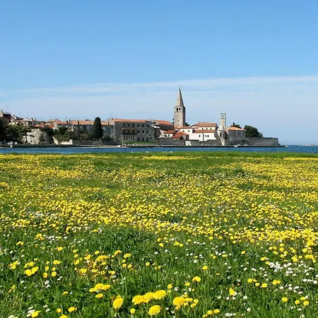 Villa In Poreč - Haus Für 6-8 Personen *